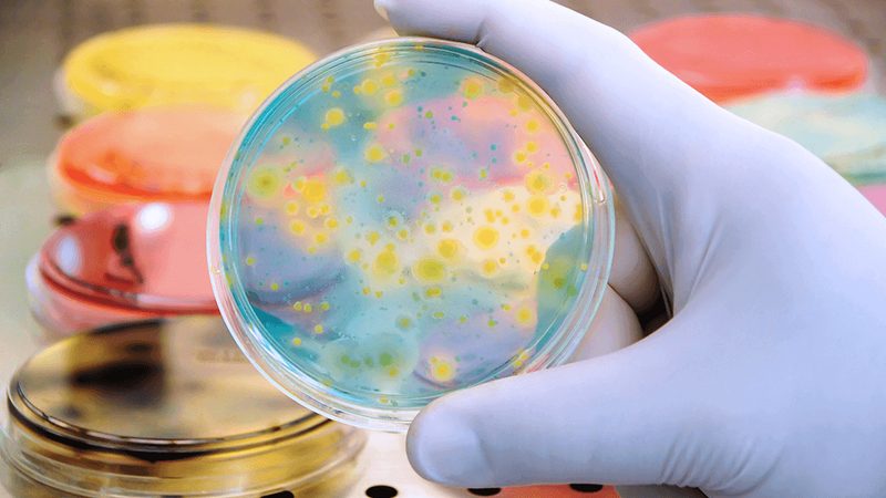 上海生物PCR检测公司：揭秘PCR检测在生物科技领域的应用与挑战
