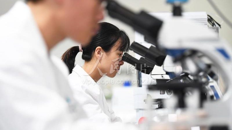 食品PCR检测：如何评估报价单的合理性与准确性**