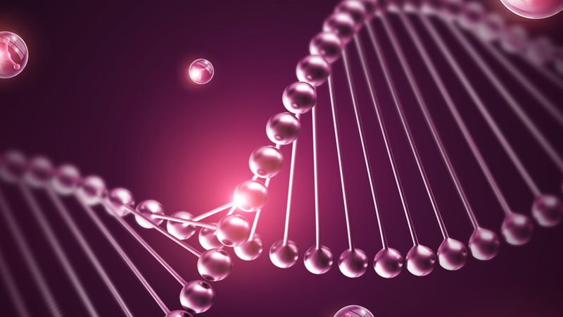 引物合成：揭秘精准科研的“基因钥匙”**