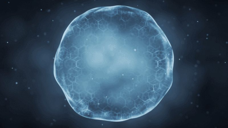 生物医药外包成本核算软件：揭秘其核心价值与应用要点