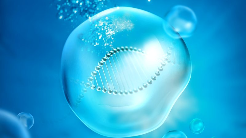 上海生物医药CDMO平台：揭秘其核心优势与选择要点