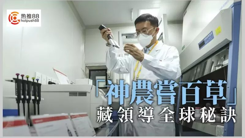 生物制品冷链运输：保障品质，揭秘批发报价**