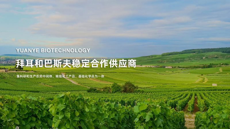 CRO优化工具定制开发：揭秘医药研发背后的“智脑