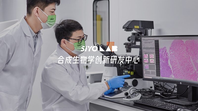 酶型号大全：解码生物催化世界的密码