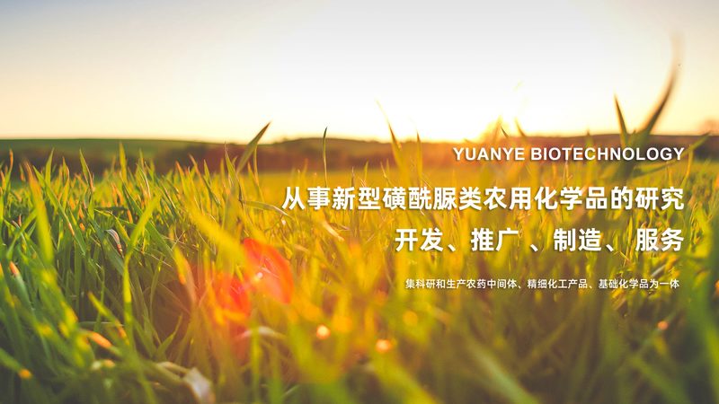 引物合成：确保PCR实验精准的基石