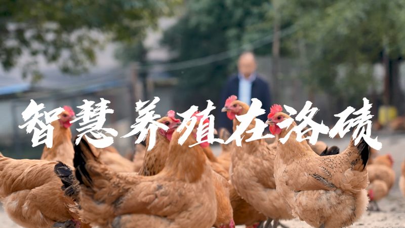 食品级酶制剂国家标准规范：解读与合规要点