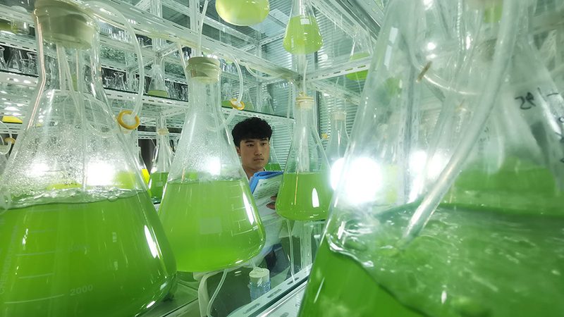 酶含量测定试剂：广州地区报价解析**